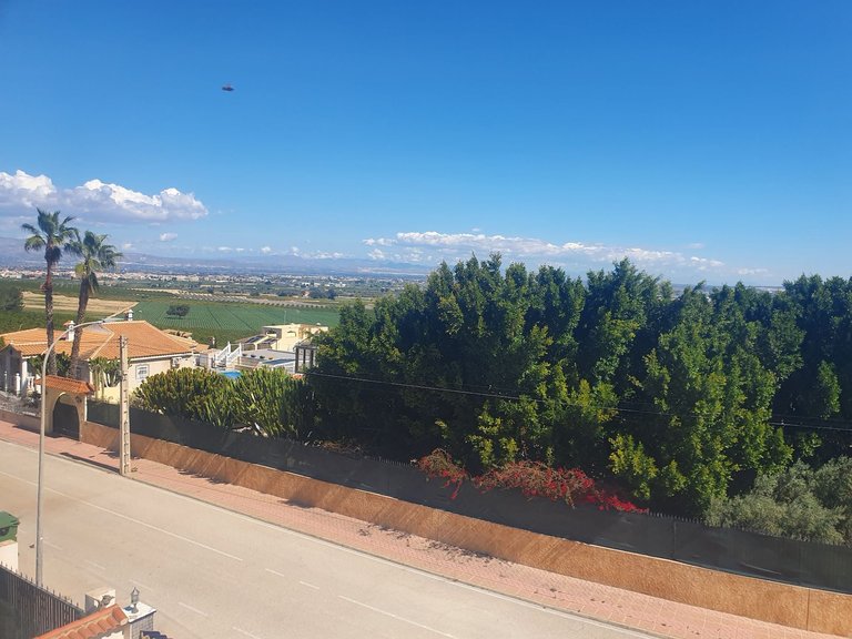 Villa for Sale in Algorfa, Alicante 33