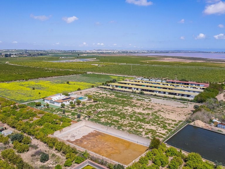 Villa for Sale in Los Montesinos, Alicante 37