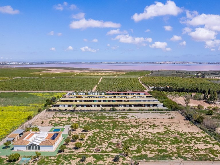 Villa for Sale in Los Montesinos, Alicante 38