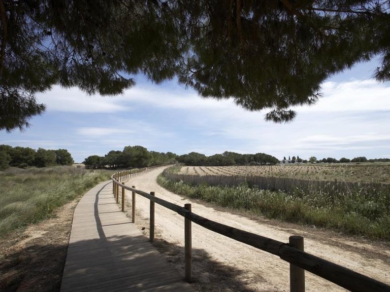 Apartment for Sale in Torrevieja, Alicante 6