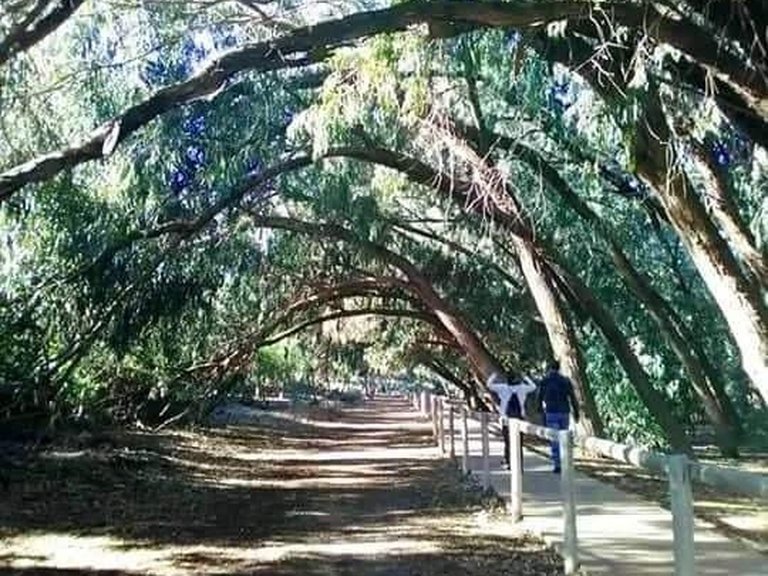 Apartment for Sale in Torrevieja, Alicante 11