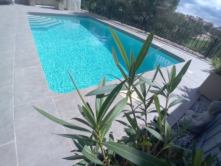 Villa for Sale in Algorfa, Alicante 2