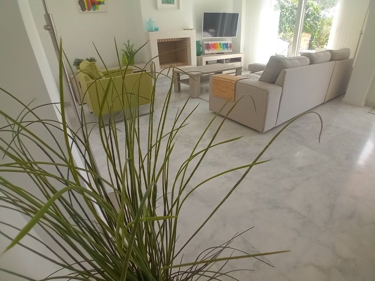 Villa for Sale in Algorfa, Alicante 5