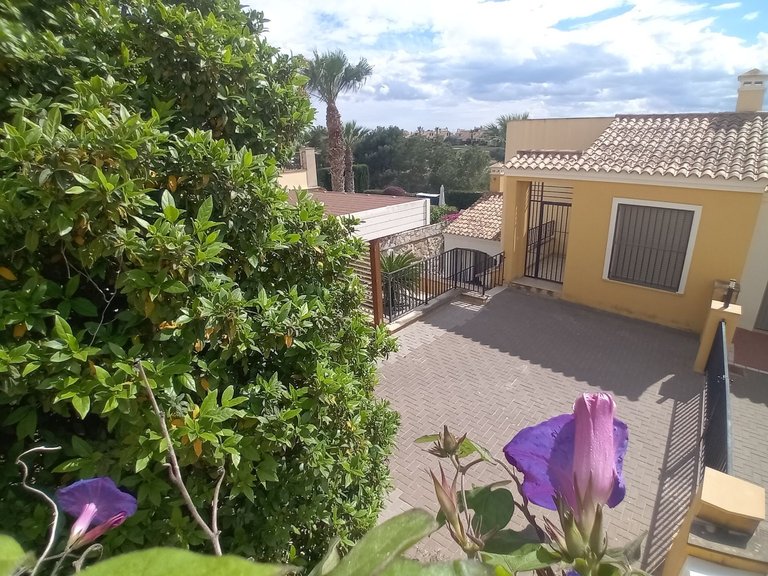 Villa for Sale in Algorfa, Alicante 14
