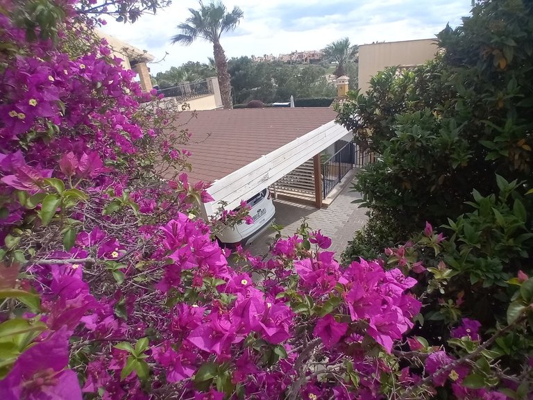 Villa for Sale in Algorfa, Alicante 15