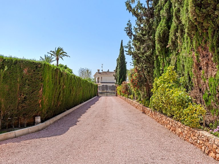 Villa for Sale in Elche, Alicante 6