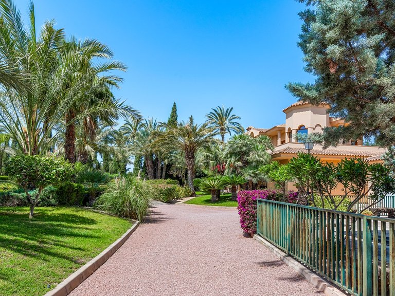 Villa for Sale in Elche, Alicante 7