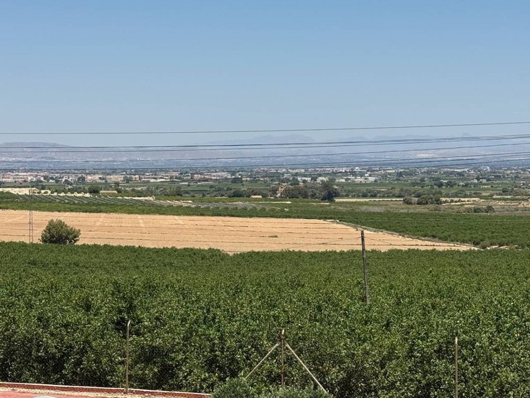 Villa for Sale in Algorfa, Alicante 36