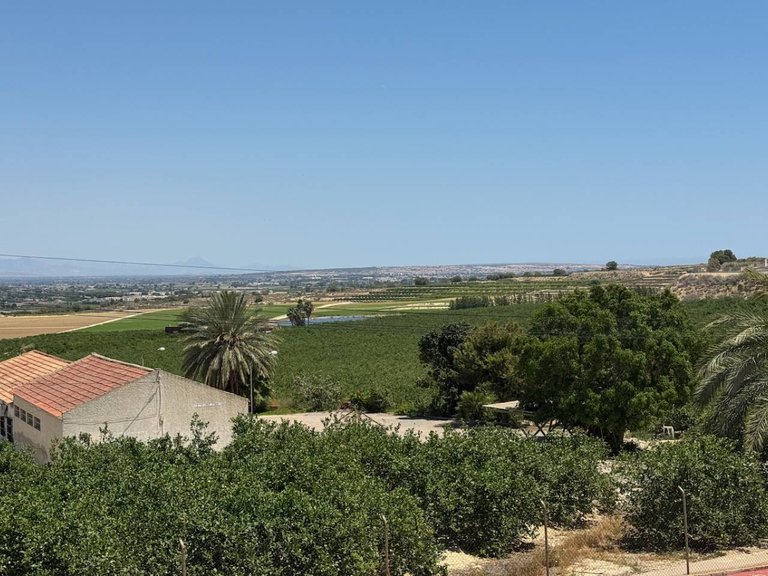Villa for Sale in Algorfa, Alicante 39