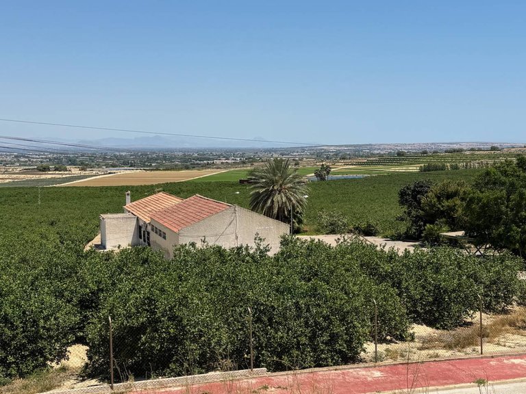 Villa for Sale in Algorfa, Alicante 40
