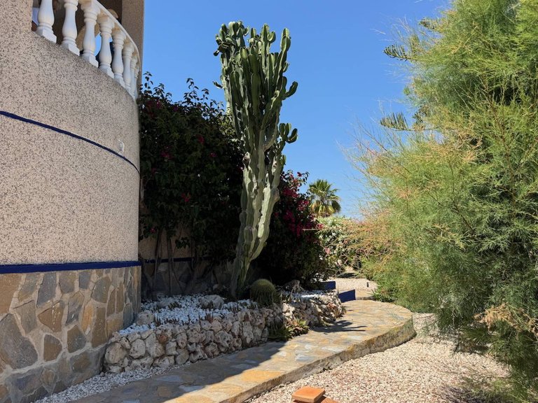 Villa for Sale in Algorfa, Alicante 43