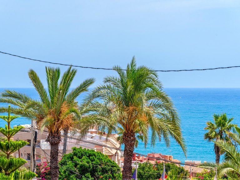 Villa for Sale in Torrevieja, Alicante 14