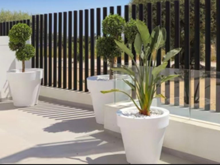 Villa for Sale in Guardamar Del Segura, Alicante 39