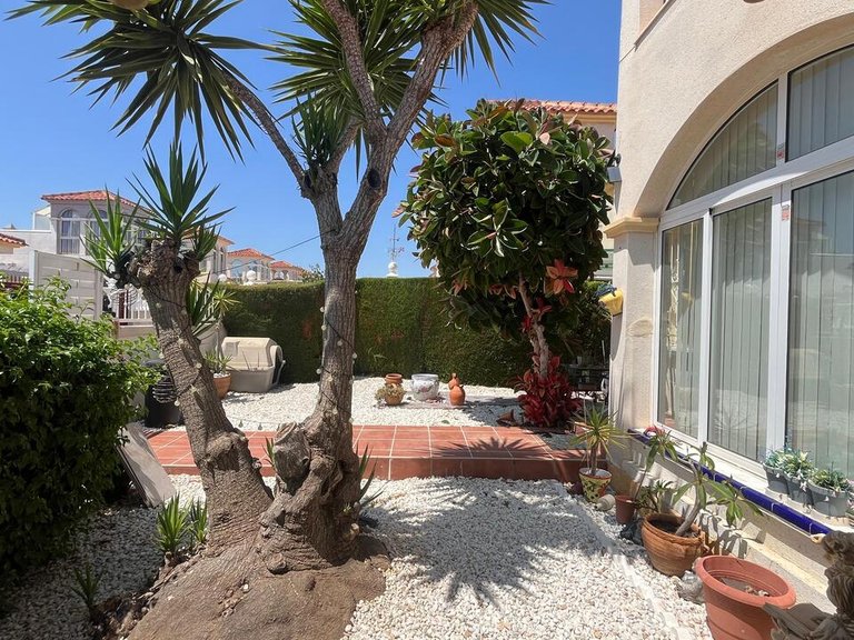 Villa for Sale in Algorfa, Alicante 14