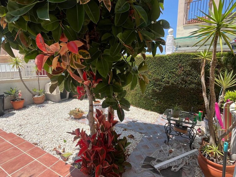 Villa for Sale in Algorfa, Alicante 25