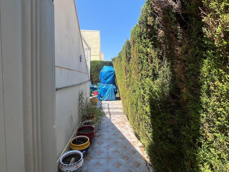 Villa for Sale in Algorfa, Alicante 36