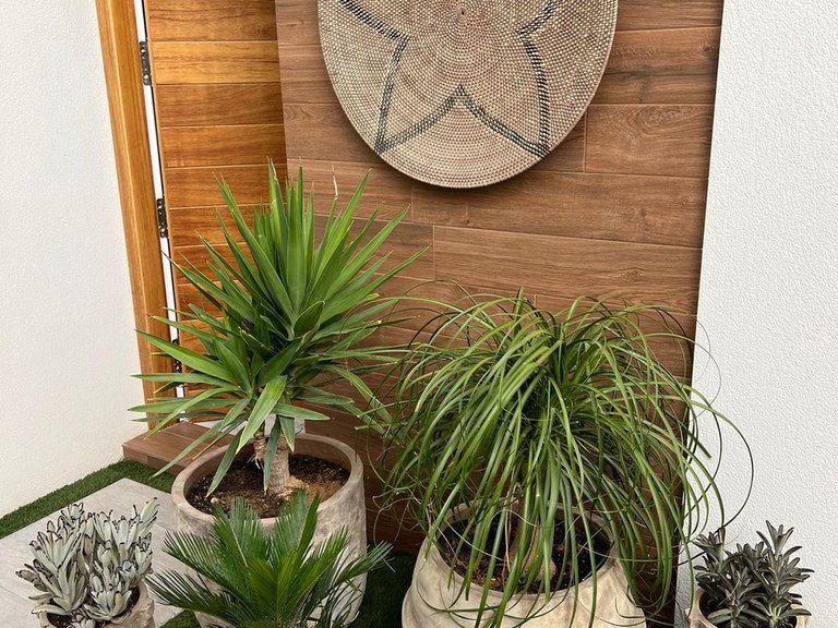 Villa for Sale in Daya Vieja, Alicante 3