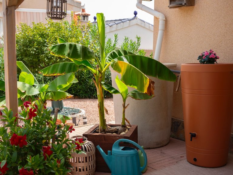 Villa for Sale in Ciudad Quesada, Alicante 13