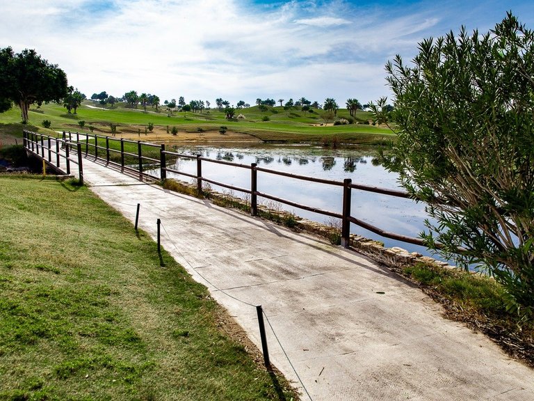 Town House for Sale in Los Montesinos, Alicante 41