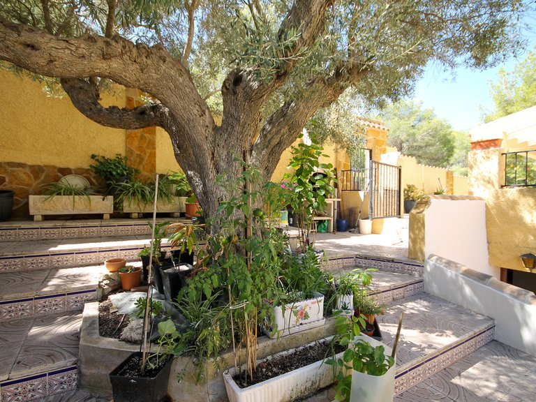 Villa for Sale in Villamartin, Alicante 36