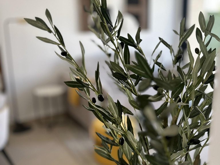 Apartment for Sale in San Fulgencio, Alicante 14