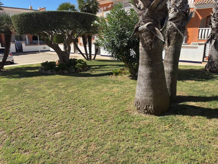 Town House for Sale in Ciudad Quesada, Alicante 22