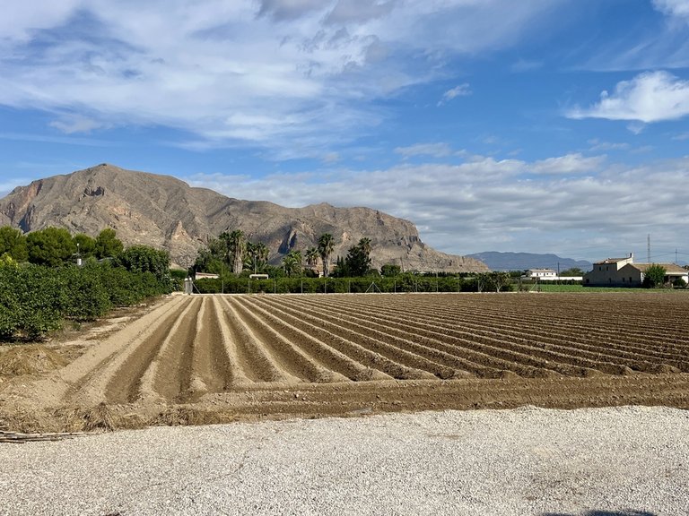 Villa for Sale in Orihuela, Alicante 3