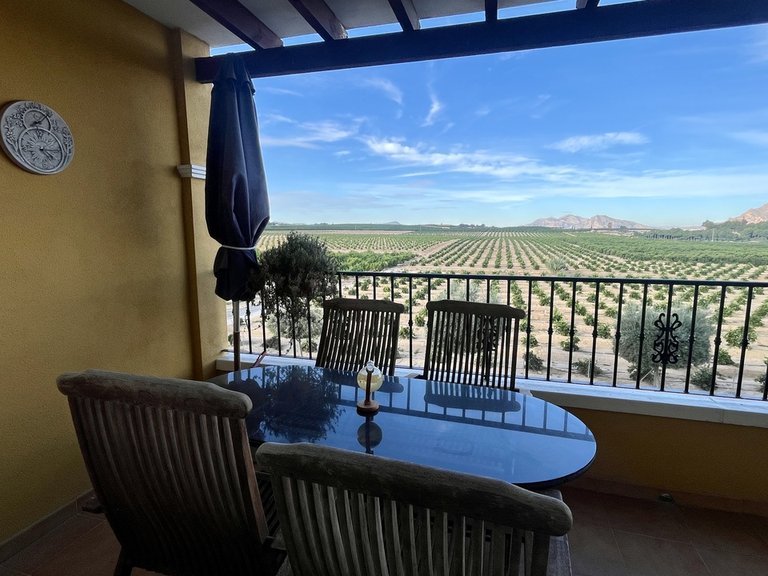 Apartment for Sale in Algorfa, Alicante 14