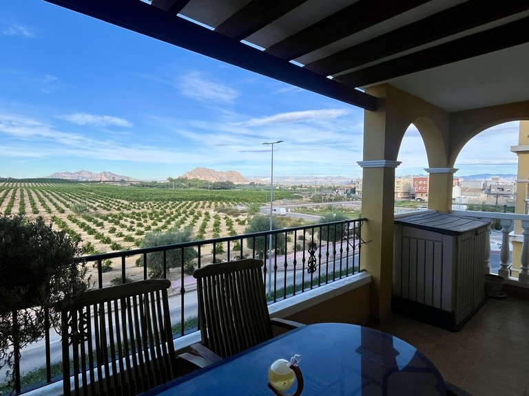 Apartment for Sale in Algorfa, Alicante 15
