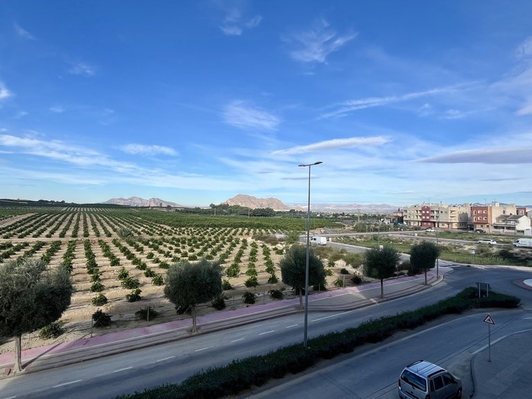 Apartment for Sale in Algorfa, Alicante 22