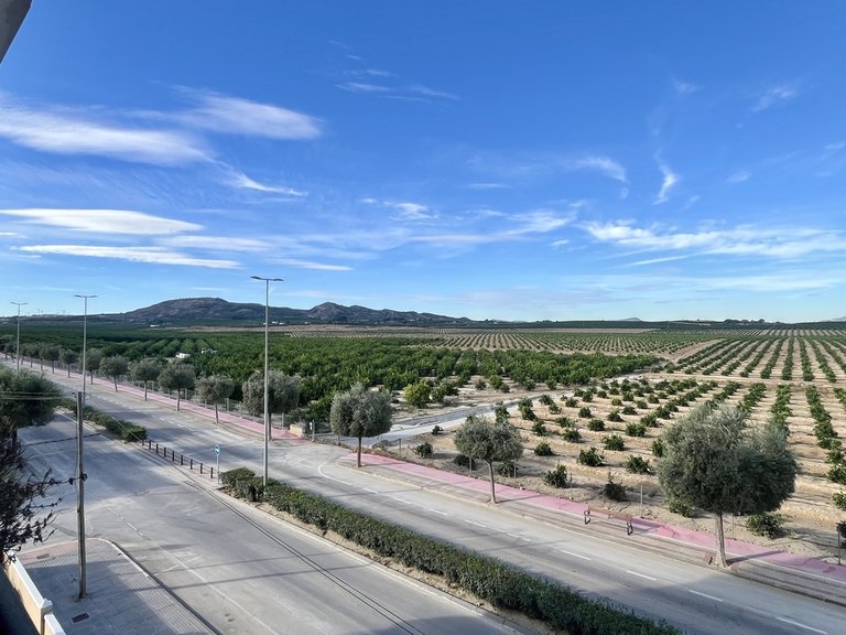 Apartment for Sale in Algorfa, Alicante 23