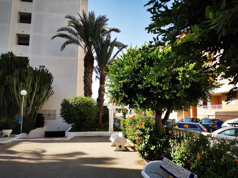 Apartment for Sale in Guardamar Del Segura, Alicante 27