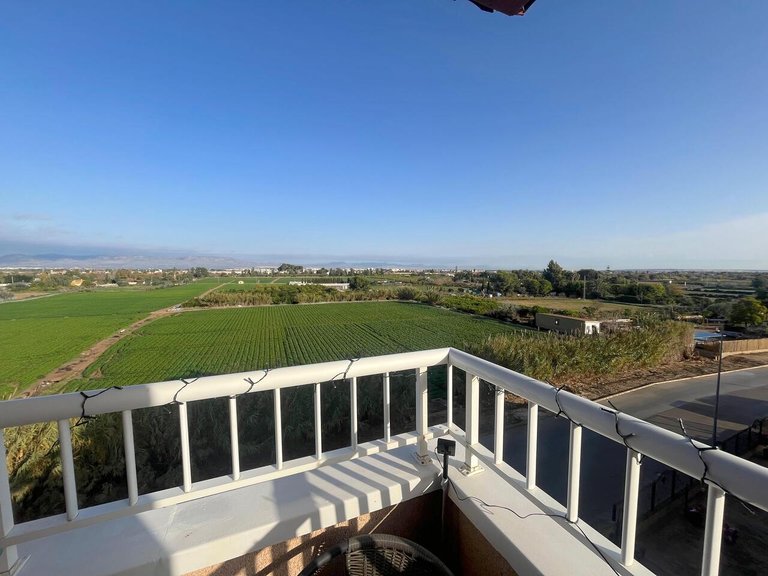 Apartment for Sale in Algorfa, Alicante 4