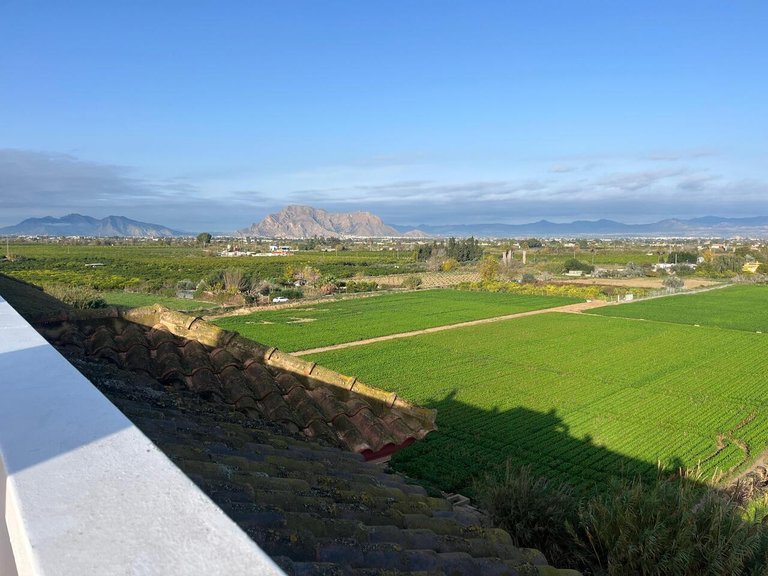 Apartment for Sale in Algorfa, Alicante 19