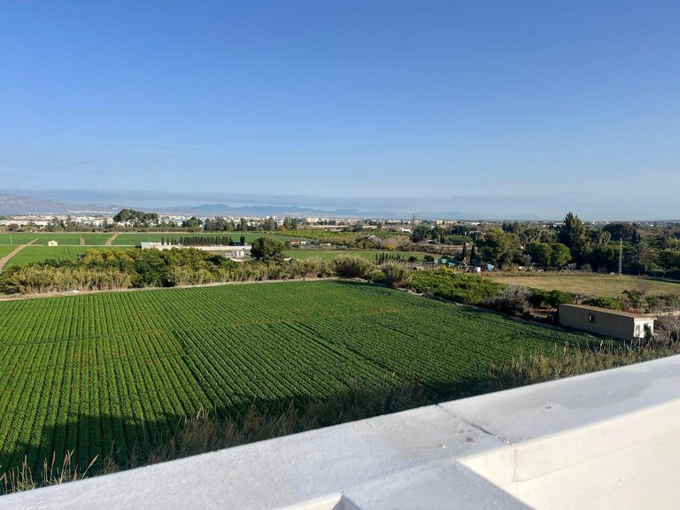 Apartment for Sale in Algorfa, Alicante 20