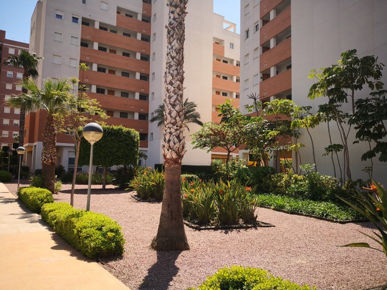 Apartment for Sale in Guardamar Del Segura, Alicante 29