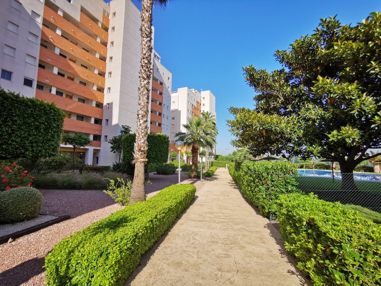 Apartment for Sale in Guardamar Del Segura, Alicante 30