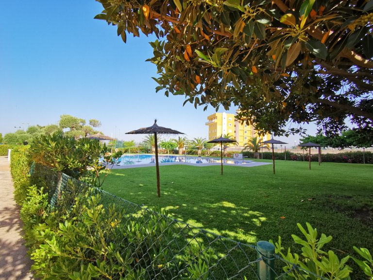 Apartment for Sale in Guardamar Del Segura, Alicante 31