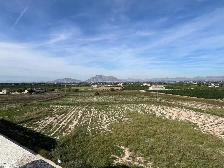 Apartment for Sale in Almoradi, Alicante 5