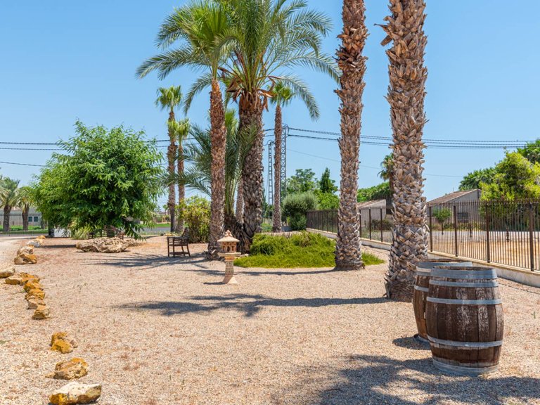 Country House for Sale in Catral, Alicante 30