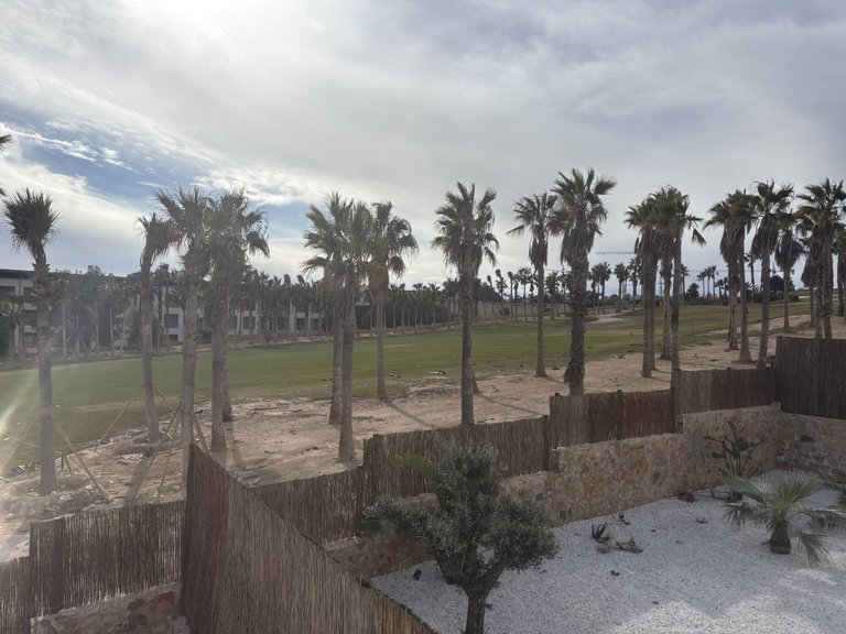 Villa for Sale in Algorfa, Alicante 6