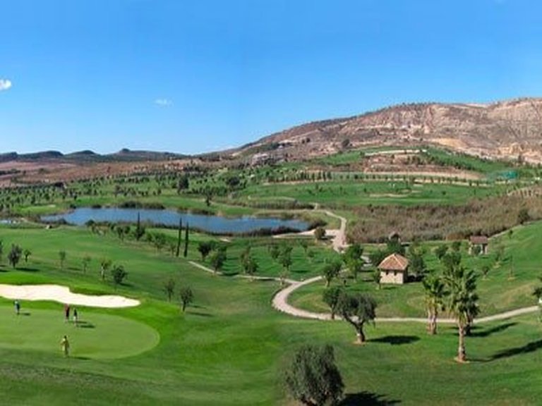 Villa for Sale in Algorfa, Alicante 14