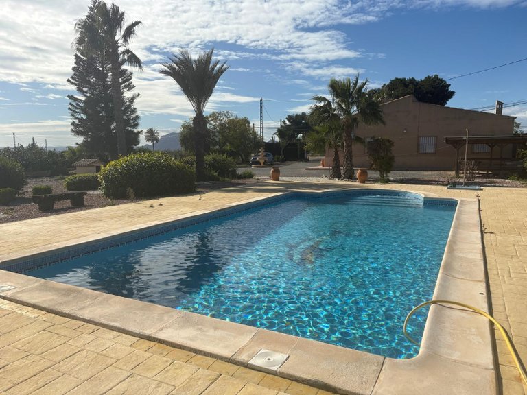 Villa for Sale in Albatera, Alicante 13