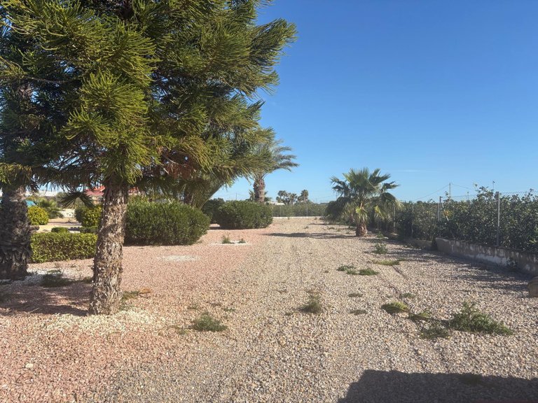 Villa for Sale in Albatera, Alicante 17