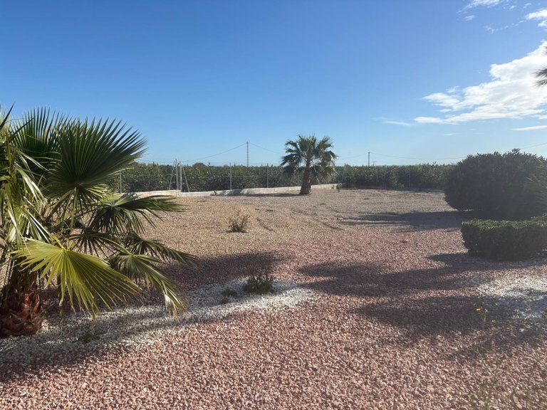 Villa for Sale in Albatera, Alicante 19