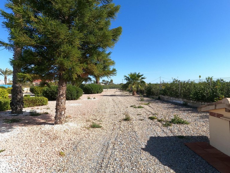 Villa for Sale in Albatera, Alicante 20