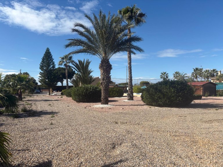 Villa for Sale in Albatera, Alicante 21