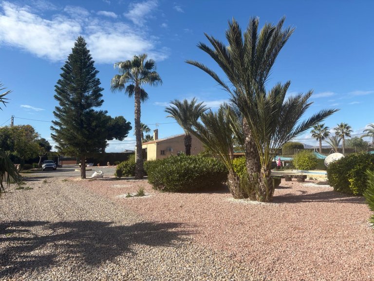 Villa for Sale in Albatera, Alicante 25