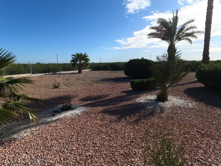 Villa for Sale in Albatera, Alicante 29