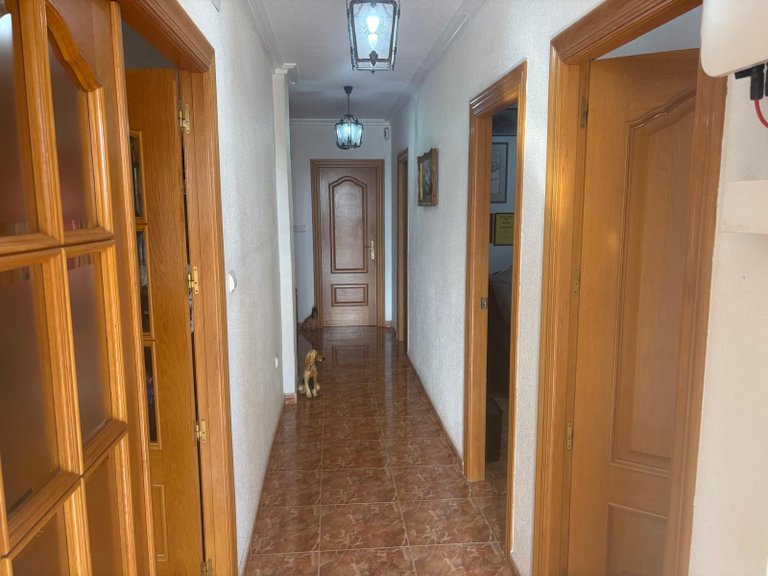 Villa for Sale in Albatera, Alicante 31